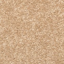 Dixie Home Carpet Stanton Park G5245 27425