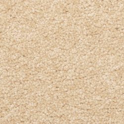 Dixie Home Carpet Stanton Park G5245 27426