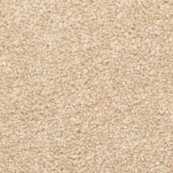 Dixie Home Carpet Stanton Park G5245 27465