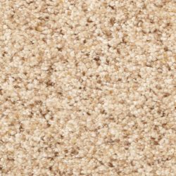 Dixie Home Carpet Stanton Park G5245 27471