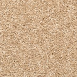 Dixie Home Carpet Stanton Park G5245 27483