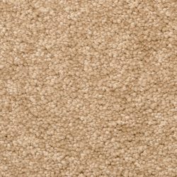 Dixie Home Carpet Stanton Park G5245 37458