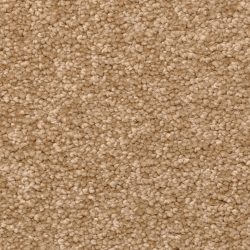 Dixie Home Carpet Stanton Park G5245 37474