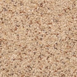 Dixie Home Carpet Stanton Park G5245 37493