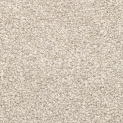 Dixie Home Carpet Stanton Park G5245 87415
