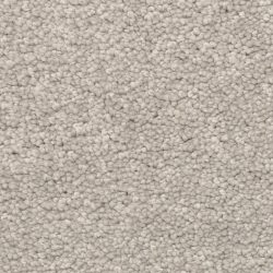 Dixie Home Carpet Stanton Park G5245 87420