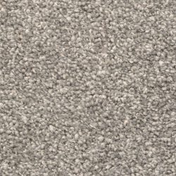 Dixie Home Carpet Stanton Park G5245 87480