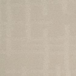 Dixie Home Carpet Engravings G5249 17921
