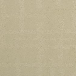 Dixie Home Carpet Engravings G5249 17926