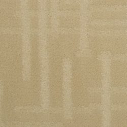 Dixie Home Carpet Engravings G5249 27927