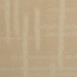 Dixie Home Carpet Engravings G5249 27929