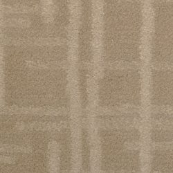 Dixie Home Carpet Engravings G5249 37914