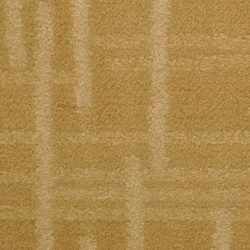 Dixie Home Carpet Engravings G5249 37920