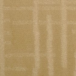Dixie Home Carpet Engravings G5249 37928