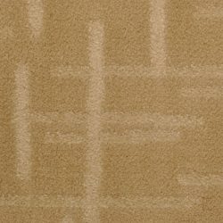 Dixie Home Carpet Engravings G5249 37930