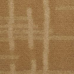 Dixie Home Carpet Engravings G5249 37932