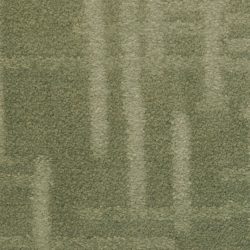 Dixie Home Carpet Engravings G5249 57924