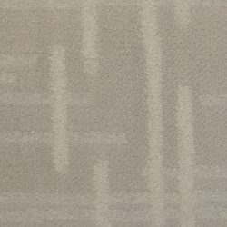 Dixie Home Carpet Engravings G5249 67901