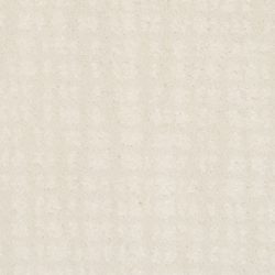 Dixie Home Carpet Pebble Creek G5250 17921