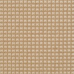 Dixie Home Carpet Steadfast G5252 28304