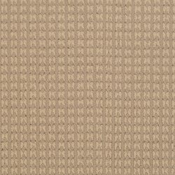 Dixie Home Carpet Steadfast G5252 28308