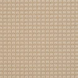 Dixie Home Carpet Steadfast G5252 28309