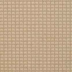 Dixie Home Carpet Steadfast G5252 28314