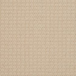 Dixie Home Carpet Steadfast G5252 28315