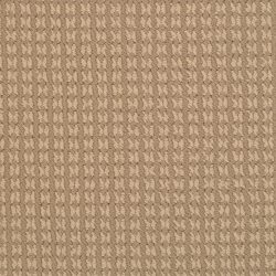 Dixie Home Carpet Steadfast G5252 38306
