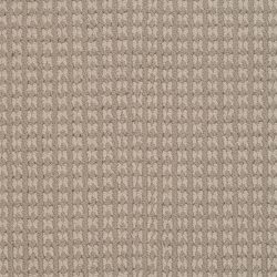 Dixie Home Carpet Steadfast G5252 88301