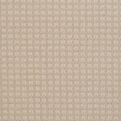 Dixie Home Carpet Steadfast G5252 88302