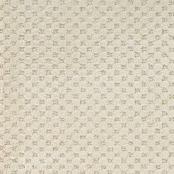 Dixie Home Carpet Rain Dance G5253 28401