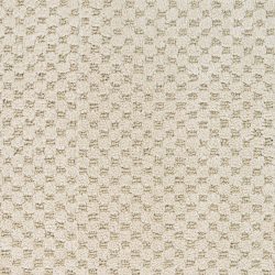 Dixie Home Carpet Rain Dance G5253 28405