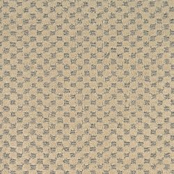 Dixie Home Carpet Rain Dance G5253 38408