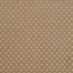 Dixie Home Carpet Rain Dance G5253 38410