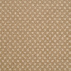 Dixie Home Carpet Rain Dance G5253 38411