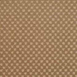 Dixie Home Carpet Rain Dance G5253 38412