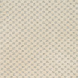 Dixie Home Carpet Rain Dance G5253 88409
