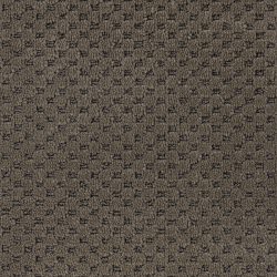 Dixie Home Carpet Rain Dance G5253 98406
