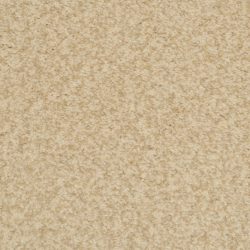 Dixie Home Carpet Innovations G5255 11406