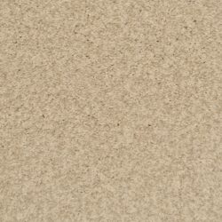 Dixie Home Carpet Innovations G5255 12114