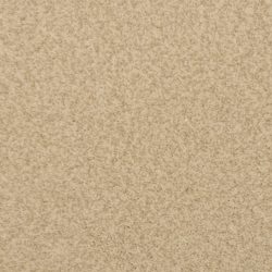 Dixie Home Carpet Innovations G5255 12210