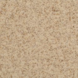Dixie Home Carpet Innovations G5255 13221