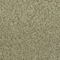 Dixie Home Carpet Innovations G5255 57431