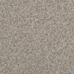 Dixie Home Carpet Innovations G5255 87823