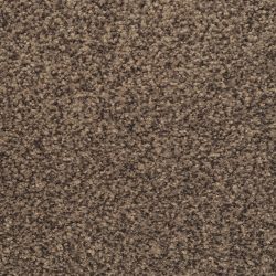 Dixie Home Carpet Innovations G5255 89824