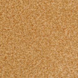 Dixie Home Carpet Innovations G5255 96903