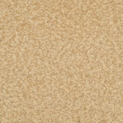 Dixie Home Carpet Semitones G5256 23402