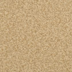 Dixie Home Carpet Semitones G5256 24207
