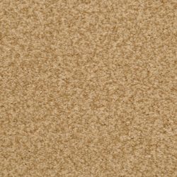 Dixie Home Carpet Semitones G5256 26411